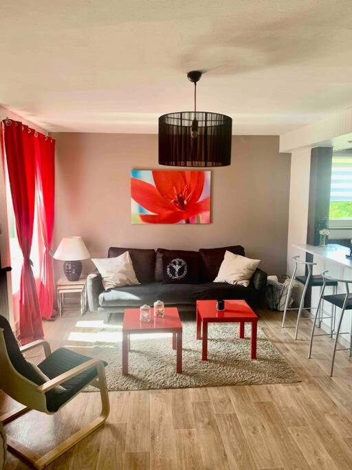 Villa 3 Chambres Parking Et Terrasse Plaisance-du-Touch Extérieur photo